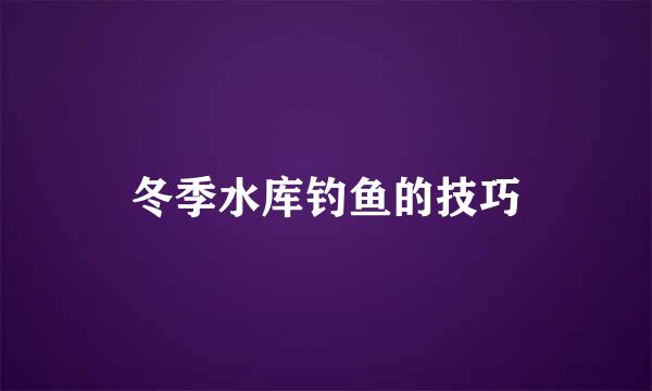 冬季水库钓鱼的技巧