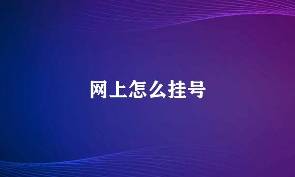 网上怎么挂号