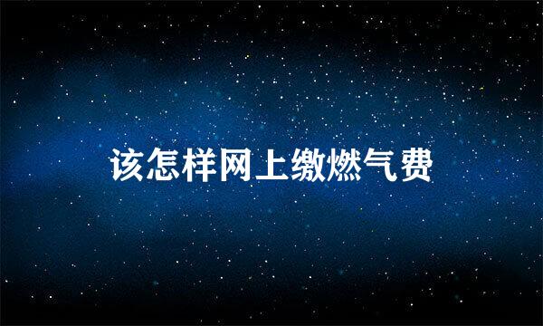 该怎样网上缴燃气费