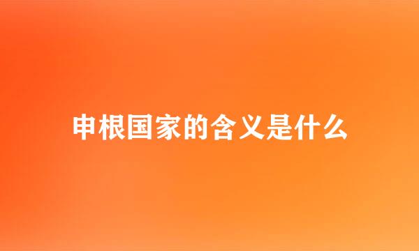 申根国家的含义是什么