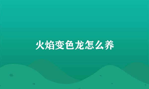 火焰变色龙怎么养