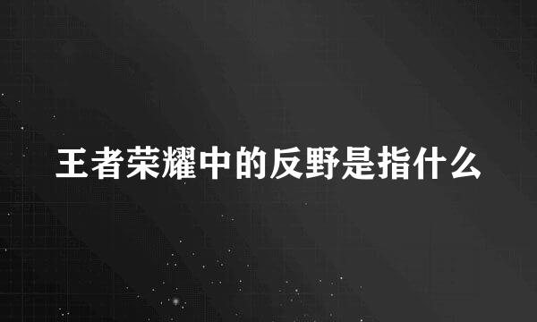 王者荣耀中的反野是指什么