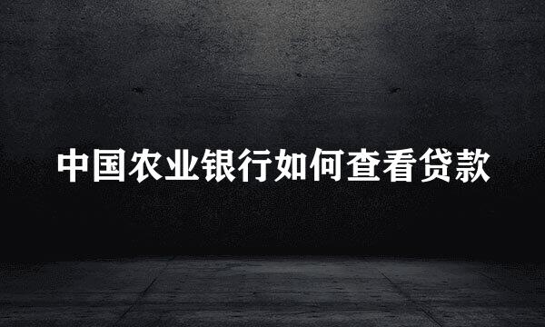 中国农业银行如何查看贷款