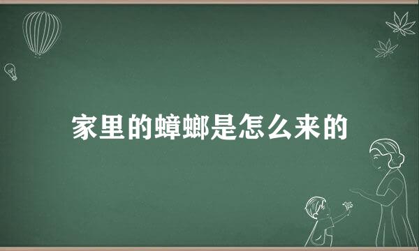 家里的蟑螂是怎么来的