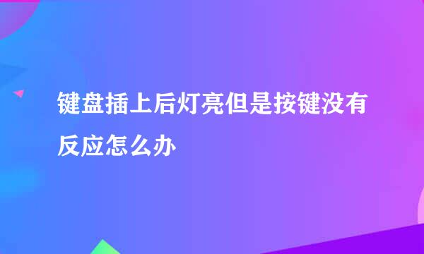 键盘插上后灯亮但是按键没有反应怎么办