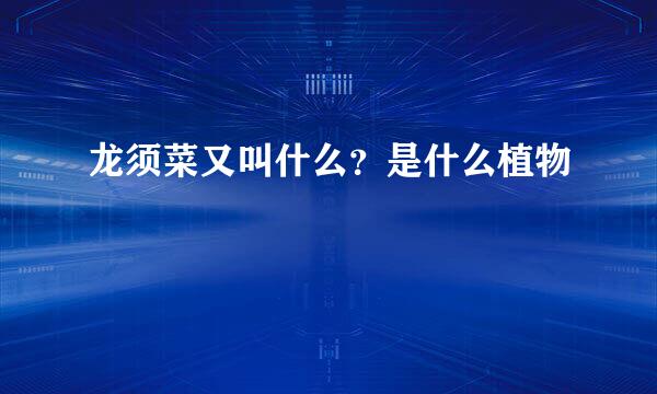 龙须菜又叫什么？是什么植物