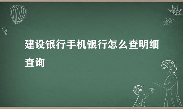 建设银行手机银行怎么查明细查询