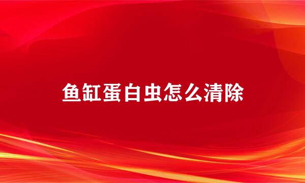 鱼缸蛋白虫怎么清除