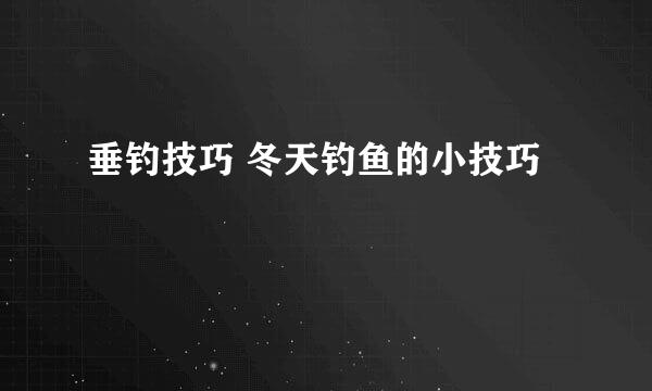 垂钓技巧 冬天钓鱼的小技巧