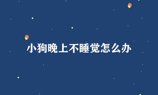 小狗晚上不睡觉怎么办