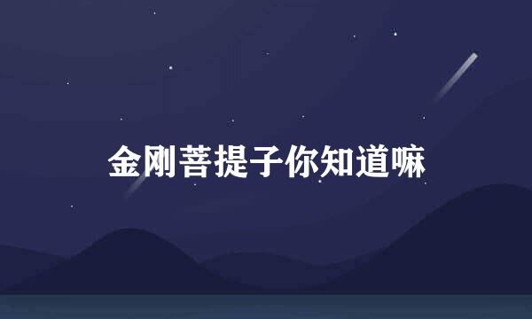 金刚菩提子你知道嘛