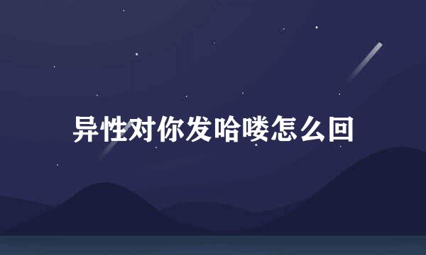 异性对你发哈喽怎么回