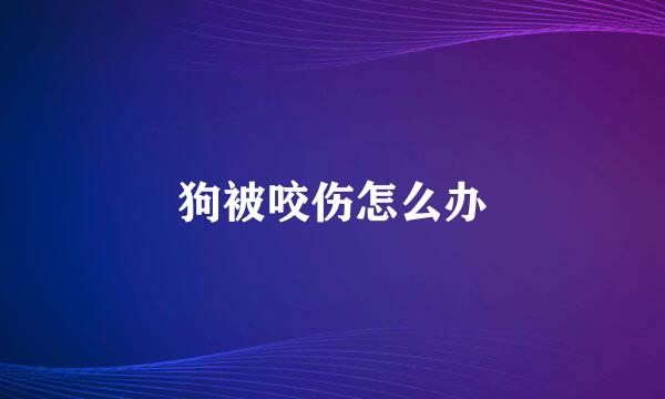 狗被咬伤怎么办