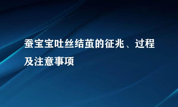蚕宝宝吐丝结茧的征兆、过程及注意事项