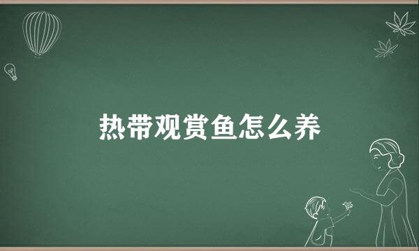 热带观赏鱼怎么养