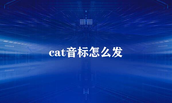 cat音标怎么发