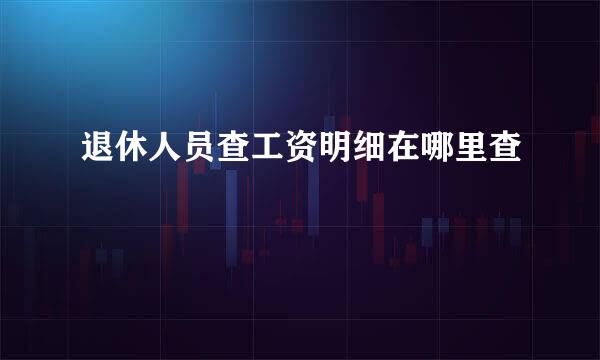退休人员查工资明细在哪里查