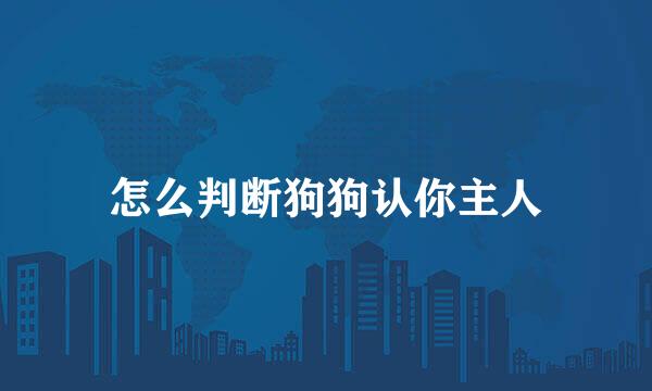 怎么判断狗狗认你主人