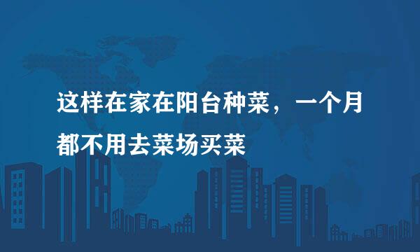 这样在家在阳台种菜，一个月都不用去菜场买菜