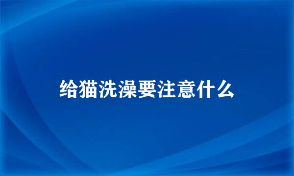 给猫洗澡要注意什么
