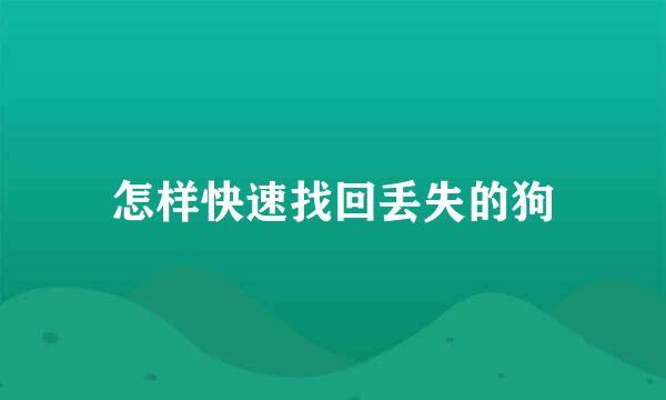 怎样快速找回丢失的狗