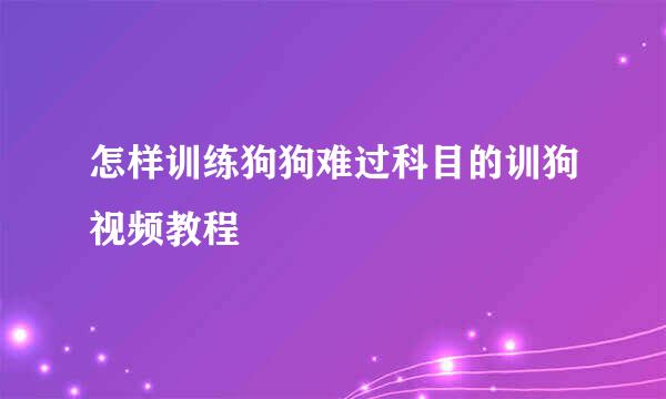 怎样训练狗狗难过科目的训狗视频教程