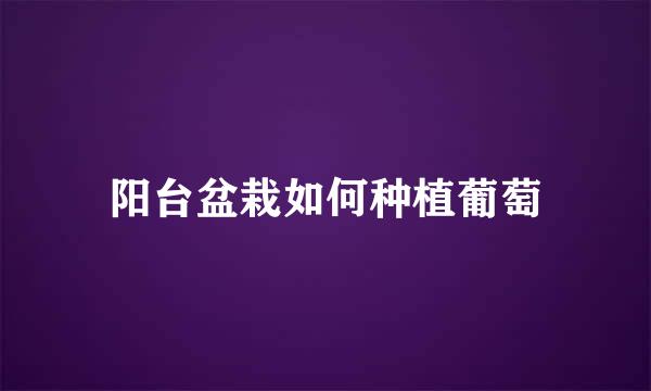 阳台盆栽如何种植葡萄