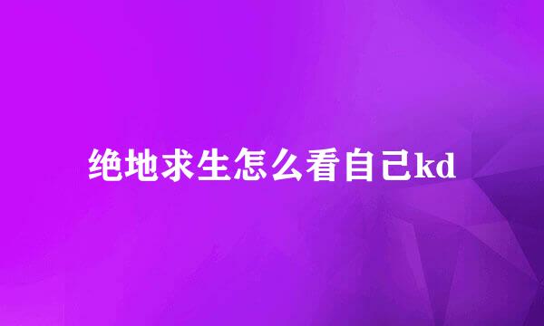 绝地求生怎么看自己kd