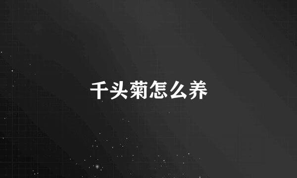 千头菊怎么养