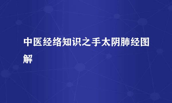 中医经络知识之手太阴肺经图解