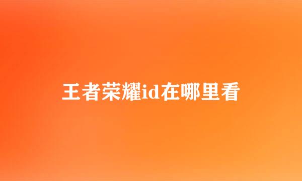 王者荣耀id在哪里看