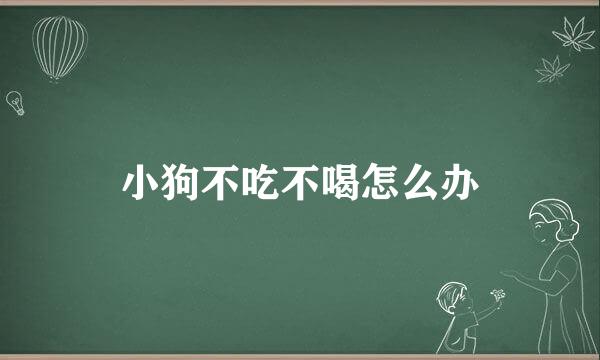 小狗不吃不喝怎么办