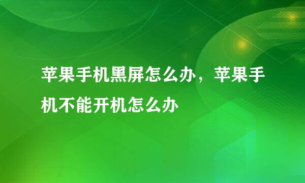 苹果手机黑屏怎么办，苹果手机不能开机怎么办