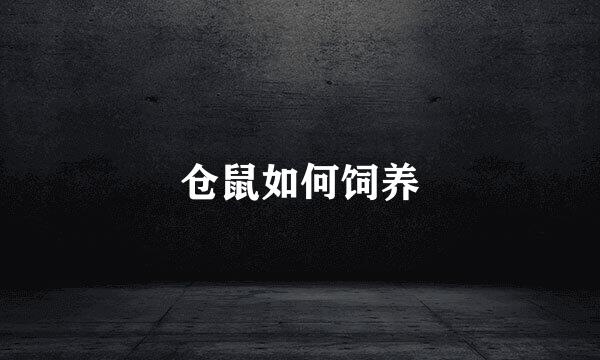 仓鼠如何饲养