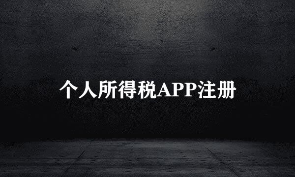 个人所得税APP注册