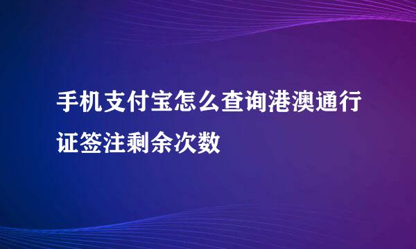 手机支付宝怎么查询港澳通行证签注剩余次数