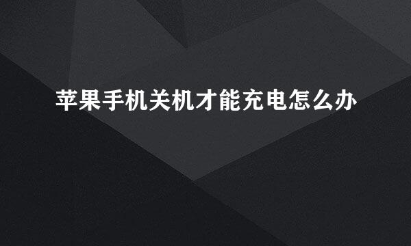 苹果手机关机才能充电怎么办