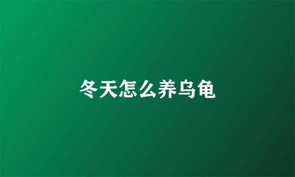 冬天怎么养乌龟