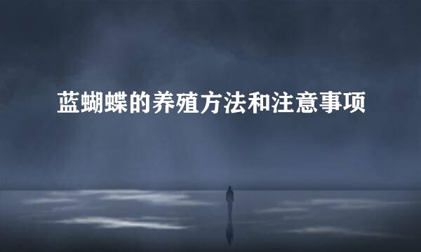 蓝蝴蝶的养殖方法和注意事项