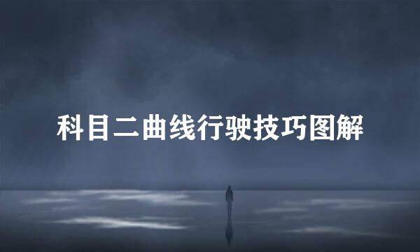 科目二曲线行驶技巧图解