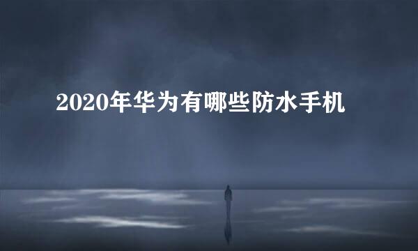 2020年华为有哪些防水手机