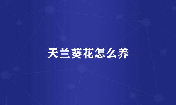 天兰葵花怎么养