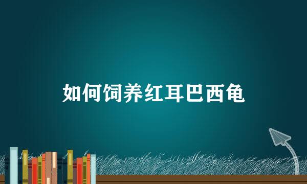 如何饲养红耳巴西龟