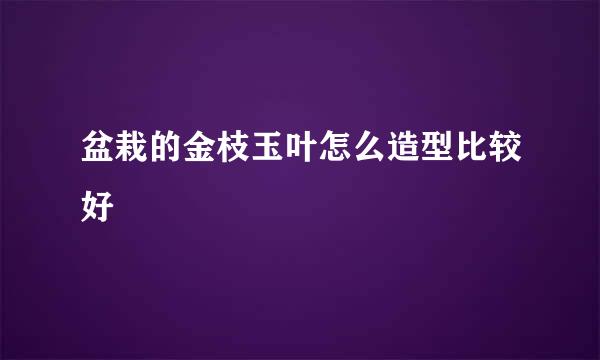 盆栽的金枝玉叶怎么造型比较好