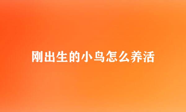刚出生的小鸟怎么养活