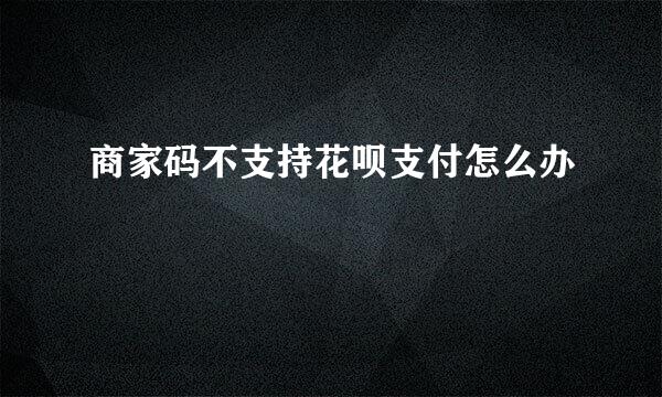 商家码不支持花呗支付怎么办