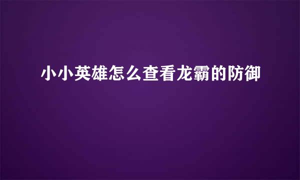 小小英雄怎么查看龙霸的防御