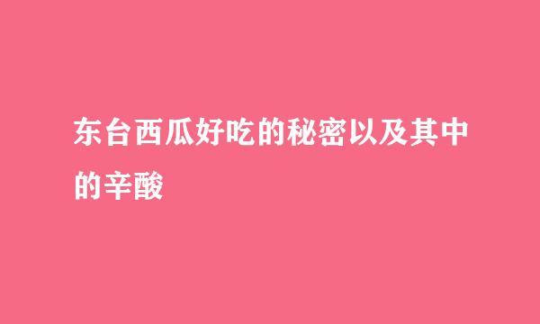 东台西瓜好吃的秘密以及其中的辛酸