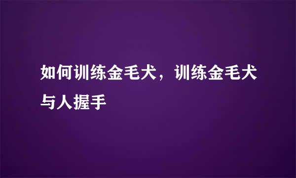 如何训练金毛犬，训练金毛犬与人握手