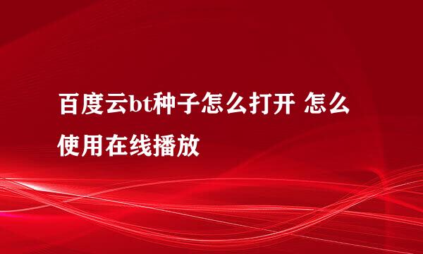 百度云bt种子怎么打开 怎么使用在线播放